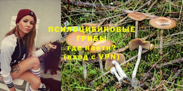 PSILOCYBIN Аркадак