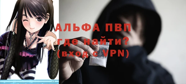 PSILOCYBIN Аркадак