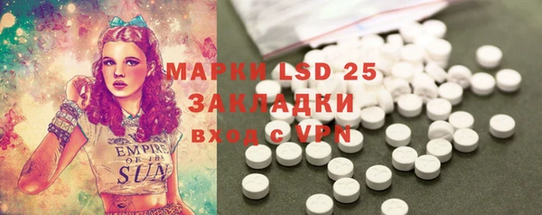 PSILOCYBIN Аркадак