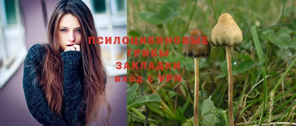 гидропоника Балахна