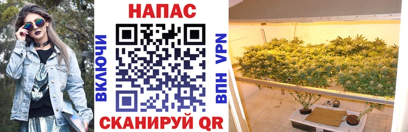 Шишки марихуана сатива  Семилуки 